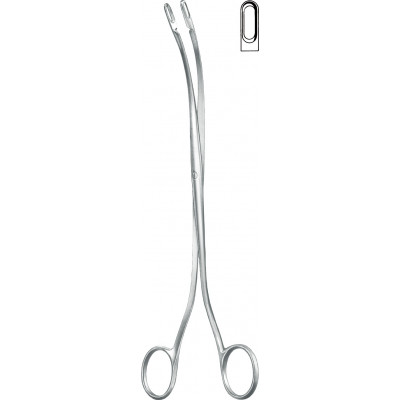 GALLSTONE FORCEPS, DESJARDINS, NO. 1