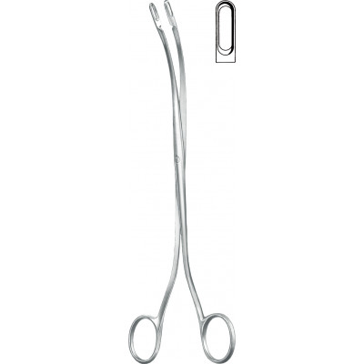 GALLSTONE FORCEPS, DESJARDINS, NO. 2